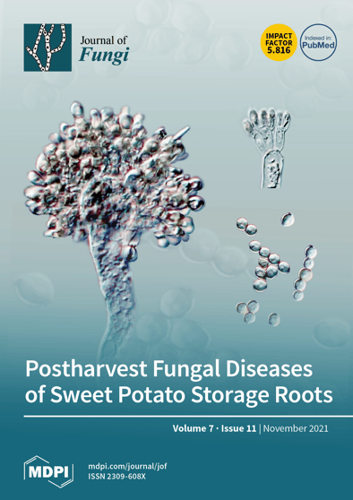 Journal Issue Cover Image