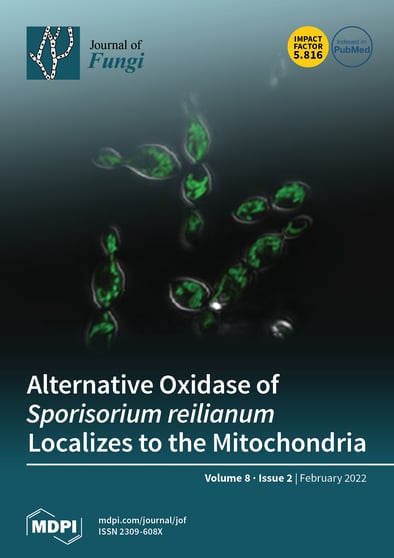 Journal Issue Cover Image