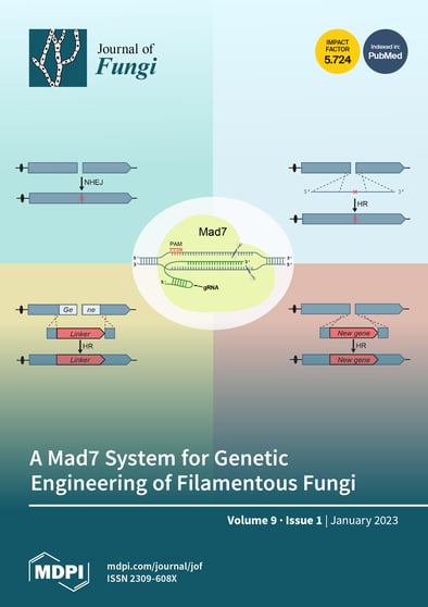Journal Issue Cover Image