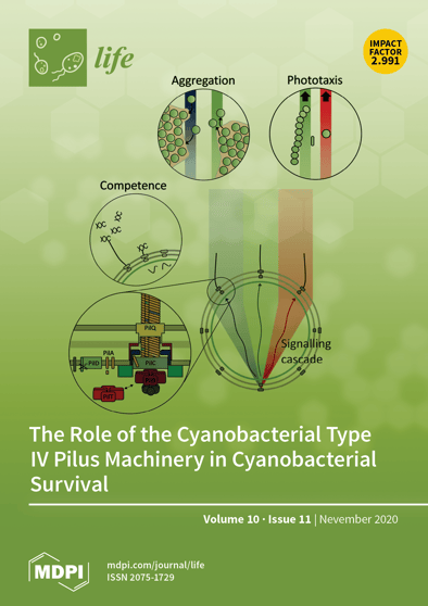 Journal Issue Cover Image