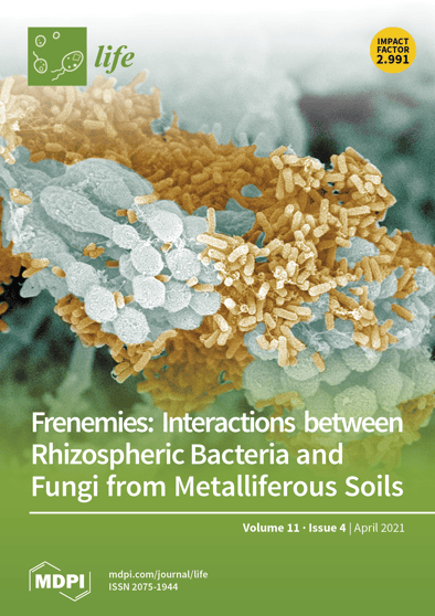 Journal Issue Cover Image