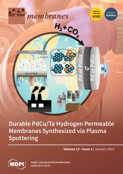 Journal Issue Cover Image