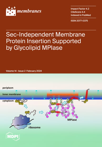Journal Issue Cover Image