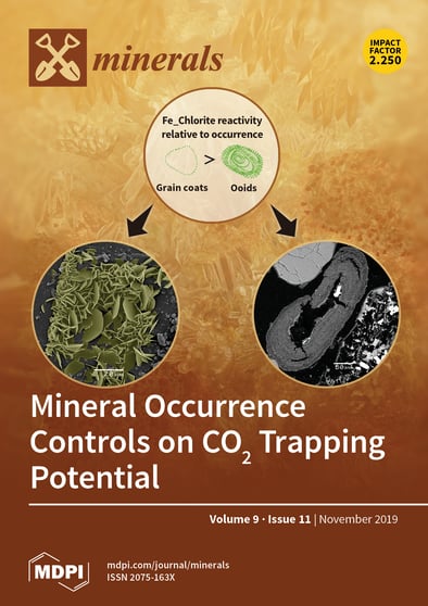 Journal Issue Cover Image