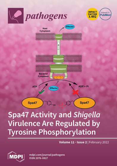 Journal Issue Cover Image
