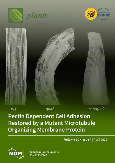 Journal Issue Cover Image