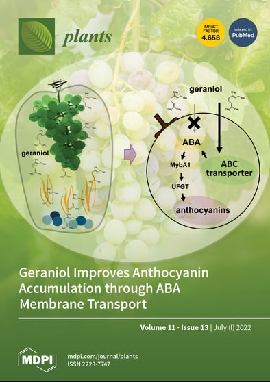 Journal Issue Cover Image