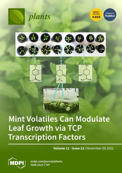 Journal Issue Cover Image