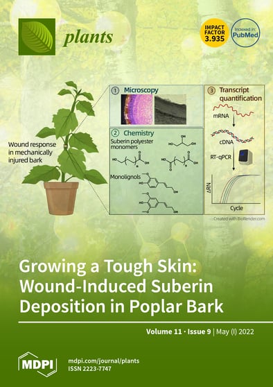 Journal Issue Cover Image