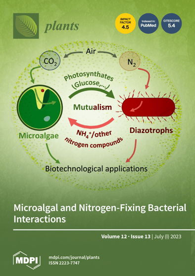 Journal Issue Cover Image
