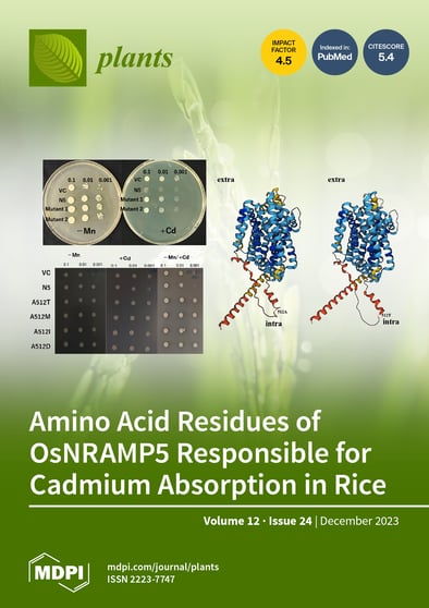 Journal Issue Cover Image