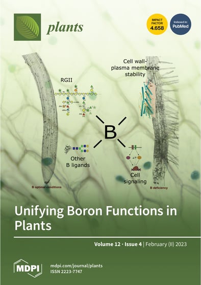 Journal Issue Cover Image
