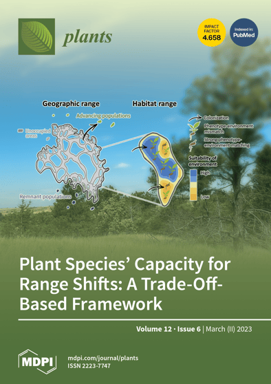 Journal Issue Cover Image