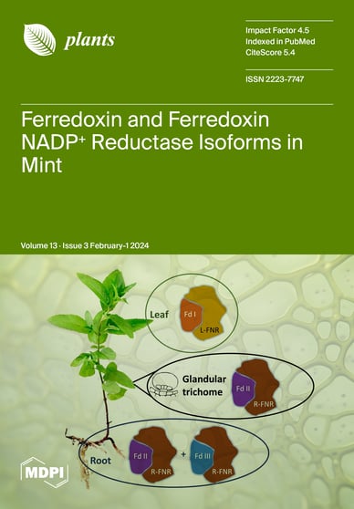 Journal Issue Cover Image