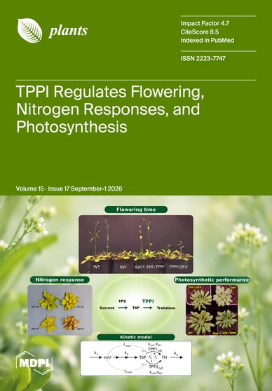 Journal Issue Cover Image