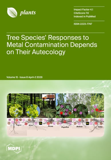 Journal Issue Cover Image