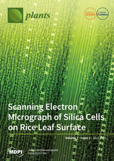 Journal Issue Cover Image