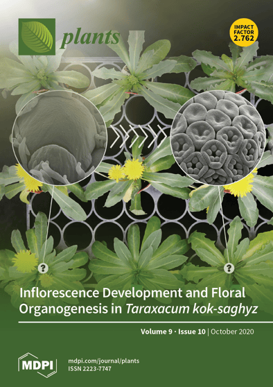 Journal Issue Cover Image