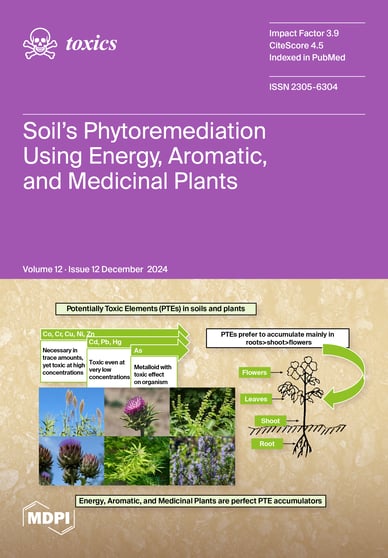 Journal Issue Cover Image