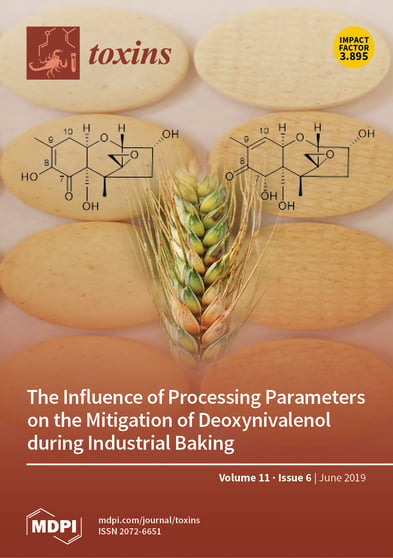 Journal Issue Cover Image
