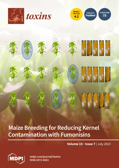 Journal Issue Cover Image