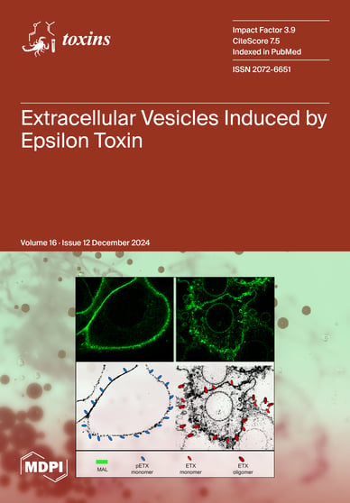 Journal Issue Cover Image