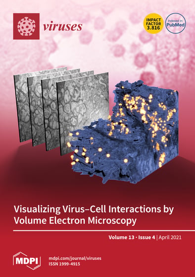 Journal Issue Cover Image