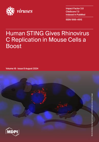 Journal Issue Cover Image