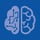 Big Data and Cognitive Computing logo