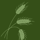 Agronomy logo