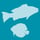 Fishes logo
