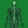 Neurology International