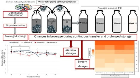 Illustration of water kefir’s (a) preparation and (b) experimental sampling design and assays. LAB = Lactic acid bacteria; AAB = acetic acid bacteria; and APC = aerobic plate count. Figure 1b is adapted from [34].