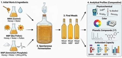 In vitro antioxidant activity of meads produced from Apis mellifera honey and fermented with wild yeasts and different sources of nitrogen. Different letters indicate significant differences among the samples according to Tukey’s test (p ≤ 0.05). Caption: MWA = fermented mead without a nutrient source for the wild yeasts. MBP = fermented mead with the addition of 30 g L−1 of bee pollen as a natural nutrient source for the wild yeasts. MAP = fermented mead with the addition of 0.4 g L−1 of a commercial fermentation activator (Gesferm Plus, composed of ammonium phosphate, B vitamins, and cellulose) as an artificial nutrient source for the fermentation of wild yeasts. TE = Trolox equivalent.