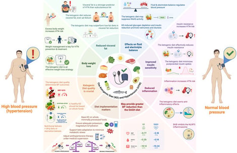 Distinguishing diet quality in achieving the desired state of nutritional ketosis. Created in BioRender. https://BioRender.com/7om6bxq (accessed on 30 June 2026).