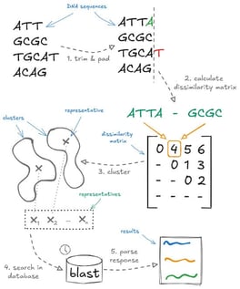 Overview of the pipeline: preparation of DNA sequences, dissimilarity calculation, sequence clustering, database search and postprocessing.