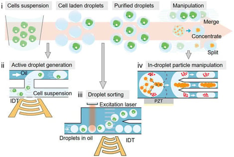 A diagram showing the process flow (i) and major applications (ii–iv) of droplet acoustofluidics: (ii) active droplet generation; (iii) droplet sorting; (iv) in-droplet particle manipulation.