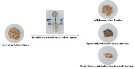 Schematic diagram for the fractionation of corn straw-derived lignocellulose in a pressurized ammonia mixed solvent system.
