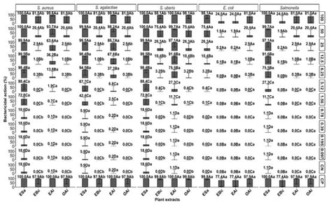 Bactericidal action (%) of plant extracts and oil against bovine mastitis–associated bacterial strains across decreasing concentrations. The bactericidal response (%) of Staphylococcus aureus, Streptococcus agalactiae, Streptococcus uberis, Escherichia coli, and Salmonella (i.e., Salmonella spp.) is shown for Stryphnodendron adstringens (Mart.) Coville extract (ESa), Baccharis crispa Spreng extract (EBc), Azadirachta indica extract (EAi), and Azadirachta indica oil (OAi) at concentrations ranging from 100 to 0.097 mg/mL. Legend: Values represent mean ± standard deviation of triplicate assays. Different uppercase letters indicate significant differences among concentrations within the same extract and bacterial species, while different lowercase letters indicate significant differences among extracts at the same concentration (GLM with Bernoulli distribution and ANODEV, p < 0.01). CN: negative control (DMSO/Tween 80); CP: positive control (oxacillin for Gram-positive bacteria and neomycin for Gram-negative bacteria).