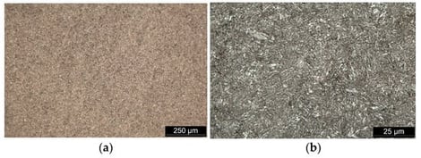 Microstructure of the C55 steel after heat treatment, etched with 1% Nital: (a) overview, (b) detail.