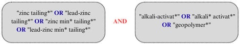 Set of keywords and Boolean operators used in the search.