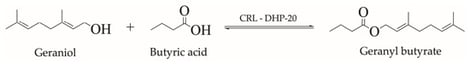 Esterification reaction between geraniol and butanoic acid leading to the formation of geranyl butyrate catalyzed by CRL-DHP-20.