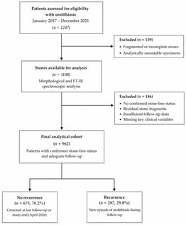 Flow diagram of patient selection and study cohort formation.