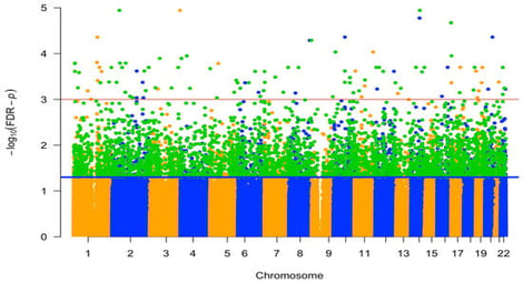 Differentially methylated positions identified in a Manhattan plot of the epigenome-wide association studies of parity in the MoBa cohort; orange and blue dots alternately represent CpG sites from chromosomes 1 through 22; dots above the blue line represent 5374 CpGs with FDR-p value less than 0.05; dots above the red line represent 110 CpGs with an FDR-p value less than 0.001. The green dots represent the 3491 CpGs that were replicated (and significantly associated with parity) in AAAMC (EPICv1 data) and/or IOW (intersect of EPICv1 and 450K data).