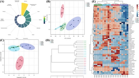 Multivariate statistical analysis of volatile compound profiles for C. quadricarinatus muscle samples. (A) Donut Plot of volatile compound classification; (B) PCA score plot showing the spatial distribution of MUBF, MUBM, MUSF, and MUSM sample groups. (C) sPLS-DA score plot presenting the distribution of MUBF, MUBM, MUSF, and MUSM sample groups. (D) Dendrogram plot showing clustering outcomes and the degree of inter-group differentiation across the MUBF, MUBM, MUSF, and MUSM sample groups; (E) Heatmap showing the clustering profiles of metabolites with significant abundance variation among the MUBF, MUBM, MUSF, and MUSM sample groups.