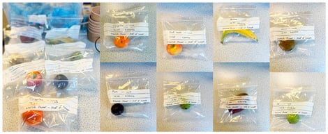 Fruit specimens sealed in labelled polyethylene headspace bags prior to structured monitoring sessions. Individual fruit specimens (kiwi, banana, red gala apple, mango, pear, clementine tangerine, and plum) were enclosed in sealed polyethylene bags (1–1.5 L headspace volume) for 24 h under ambient laboratory conditions to allow natural ethylene accumulation.