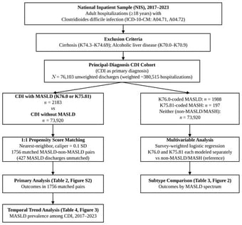 Study flow diagram showing the selection of hospitalizations from the National Inpatient Sample (NIS), 2017–2023. The principal-diagnosis CDI cohort was used for both the propensity score-matched MASLD versus non-MASLD analysis and the exploratory MASLD subtype analysis. CDI = Clostridioides difficile infection; MASLD = metabolic-dysfunction-associated steatotic liver disease; MASH = metabolic-dysfunction-associated steatohepatitis; NIS = National Inpatient Sample; PSM = propensity score matching.
