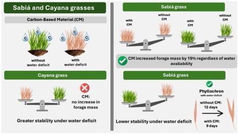 Chlorophyll index of Cayana grass subjected to CM application and water deficit. Means followed by the same uppercase letter within CM and the same lowercase letter within water deficit do not differ according to Tukey’s test (p > 0.05).