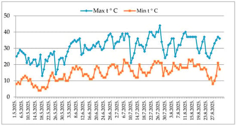 Daily maximum and minimum air temperatures from May to August 2025. [Data source: meteorological station, Aleksinac].