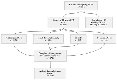 Flowchart of patient selection and allocation to the four TR–renal phenotypes. eGFR, estimated glomerular filtration rate; TAVR, transcatheter aortic valve replacement; TR, tricuspid regurgitation.